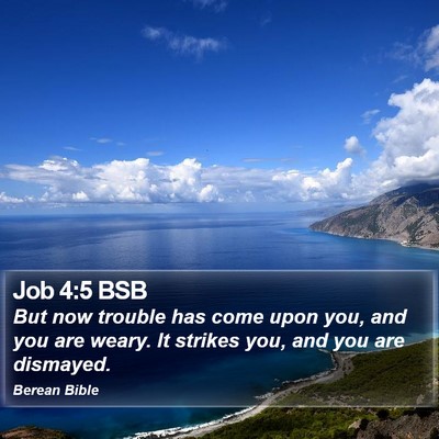 Job 4:5 BSB Bible Verse Image