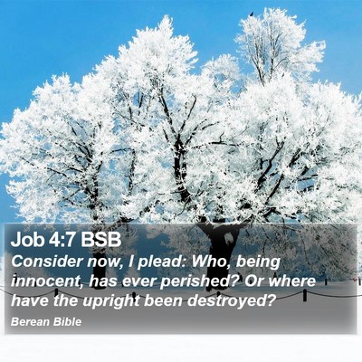 Job 4:7 BSB Bible Verse Image