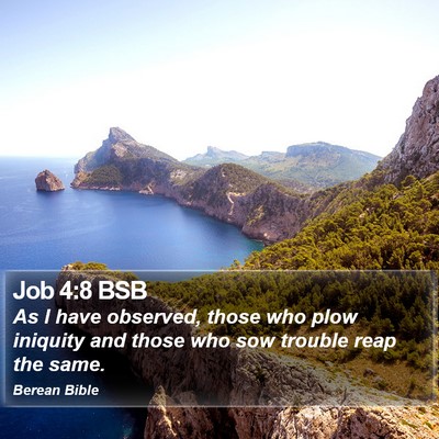 Job 4:8 BSB Bible Verse Image