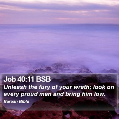 Job 40:11 BSB Bible Verse Image
