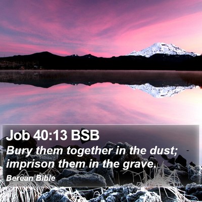 Job 40:13 BSB Bible Verse Image