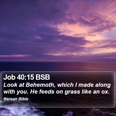 Job 40:15 BSB Bible Verse Image