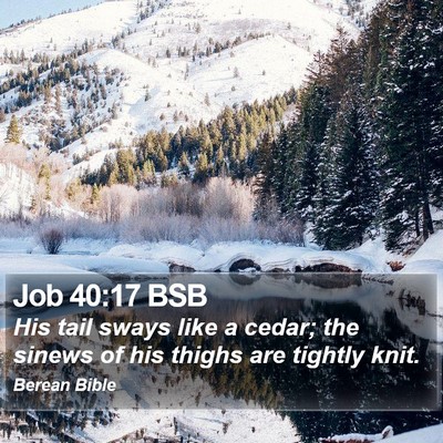 Job 40:17 BSB Bible Verse Image