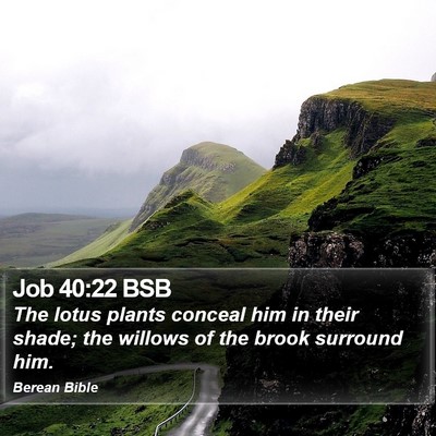 Job 40:22 BSB Bible Verse Image