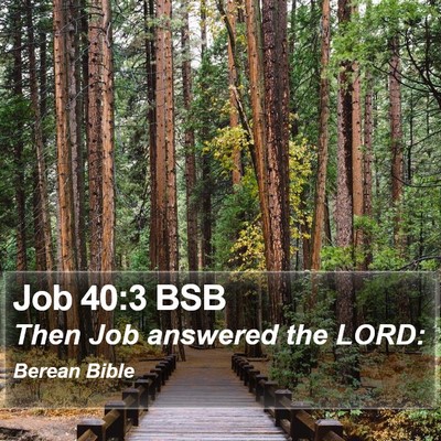 Job 40:3 BSB Bible Verse Image