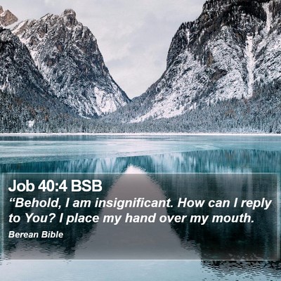 Job 40:4 BSB Bible Verse Image
