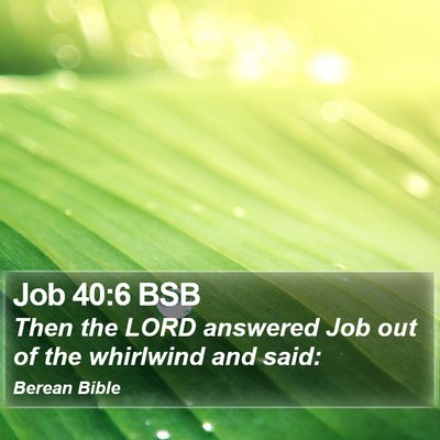 Job 40:6 BSB Bible Verse Image