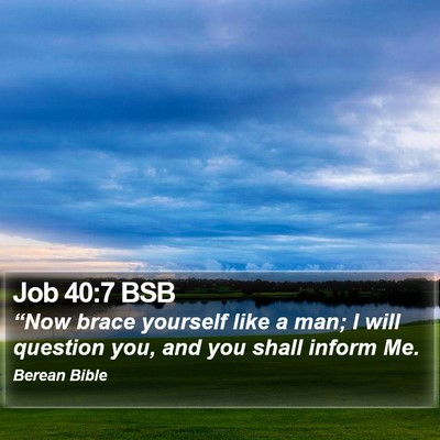 Job 40:7 BSB Bible Verse Image