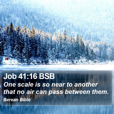 Job 41:16 BSB Bible Verse Image