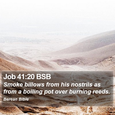 Job 41:20 BSB Bible Verse Image