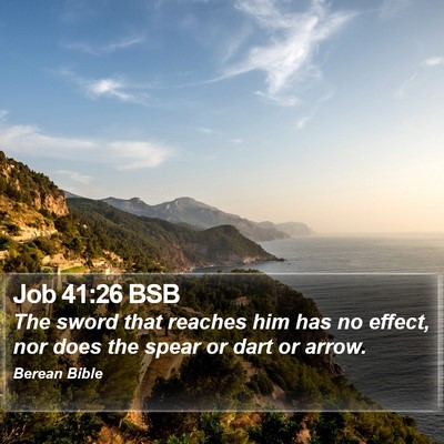 Job 41:26 BSB Bible Verse Image