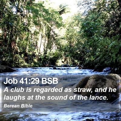 Job 41:29 BSB Bible Verse Image