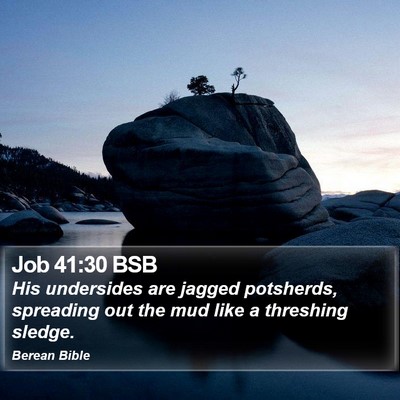 Job 41:30 BSB Bible Verse Image