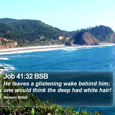 Job 41:32 BSB Bible Verse Image