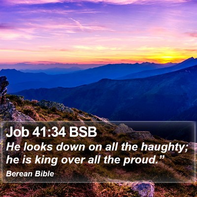 Job 41:34 BSB Bible Verse Image