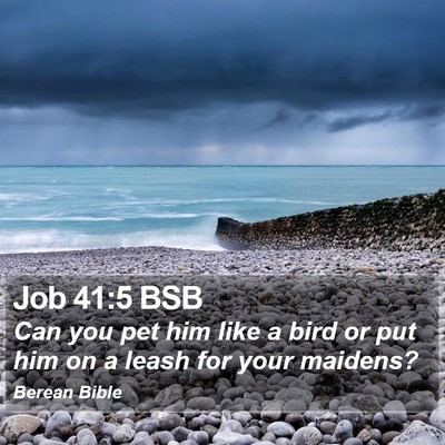 Job 41:5 BSB Bible Verse Image