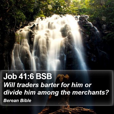 Job 41:6 BSB Bible Verse Image