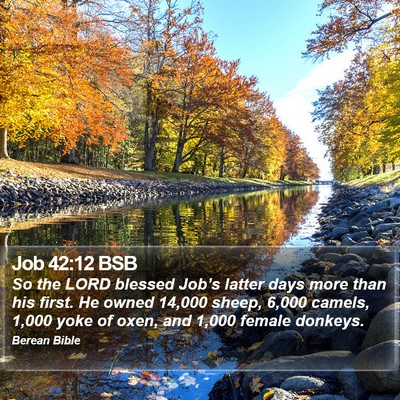 Job 42:12 BSB Bible Verse Image