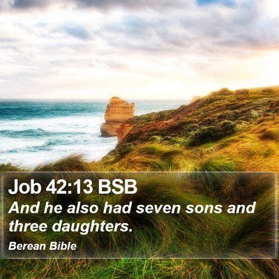 Job 42:13 BSB Bible Verse Image