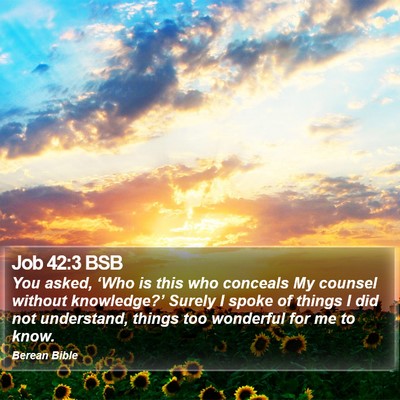 Job 42:3 BSB Bible Verse Image