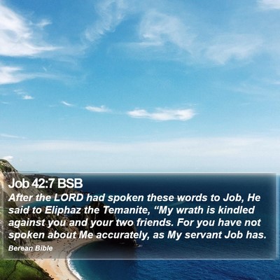 Job 42:7 BSB Bible Verse Image