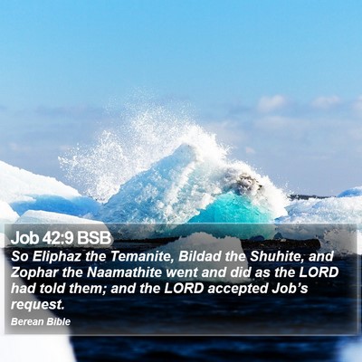 Job 42:9 BSB Bible Verse Image