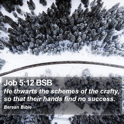 Job 5:12 BSB Bible Verse Image