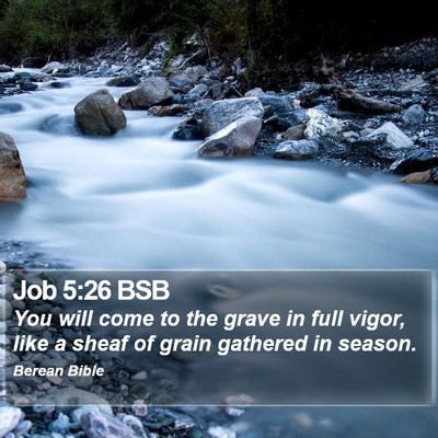 Job 5:26 BSB Bible Verse Image