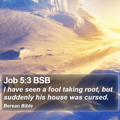 Job 5:3 BSB Bible Verse Image