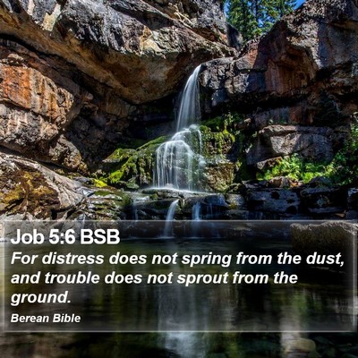 Job 5:6 BSB Bible Verse Image