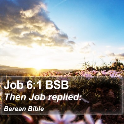 Job 6:1 BSB Bible Verse Image