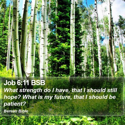 Job 6:11 BSB Bible Verse Image