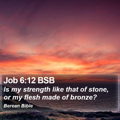 Job 6:12 BSB Bible Verse Image