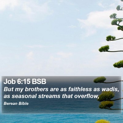 Job 6:15 BSB Bible Verse Image