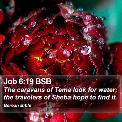 Job 6:19 BSB Bible Verse Image