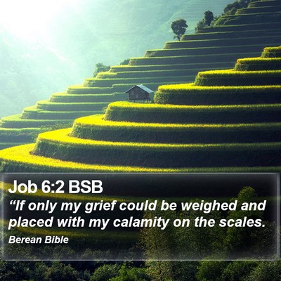 Job 6:2 BSB Bible Verse Image