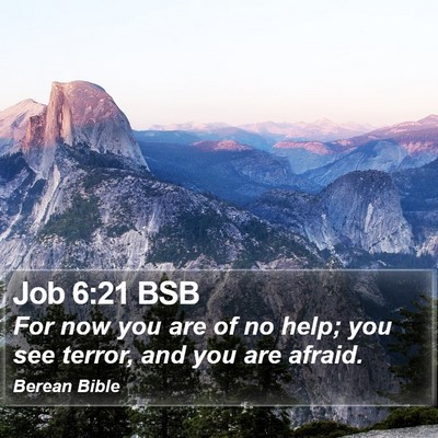 Job 6:21 BSB Bible Verse Image