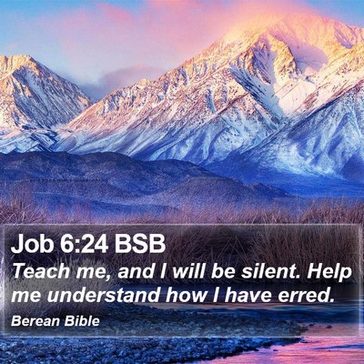 Job 6:24 BSB Bible Verse Image