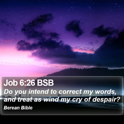 Job 6:26 BSB Bible Verse Image