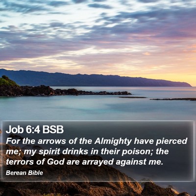 Job 6:4 BSB Bible Verse Image