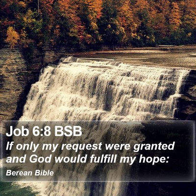 Job 6:8 BSB Bible Verse Image