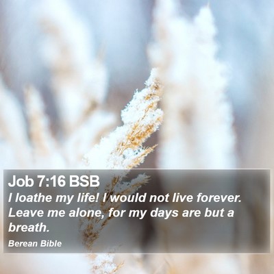 Job 7:16 BSB Bible Verse Image