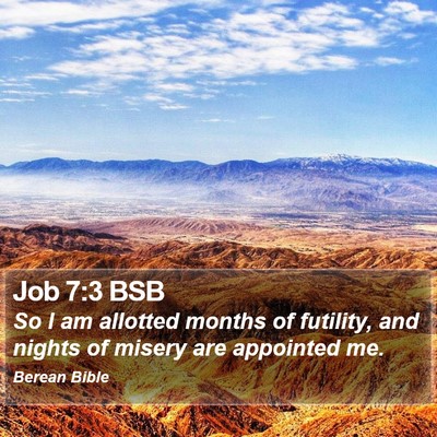 Job 7:3 BSB Bible Verse Image