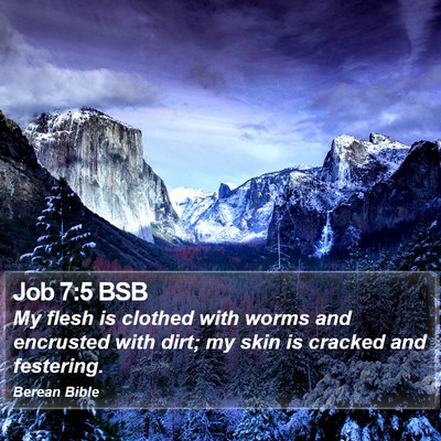 Job 7:5 BSB Bible Verse Image