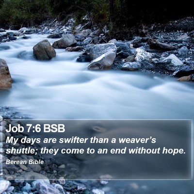 Job 7:6 BSB Bible Verse Image