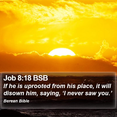 Job 8:18 BSB Bible Verse Image