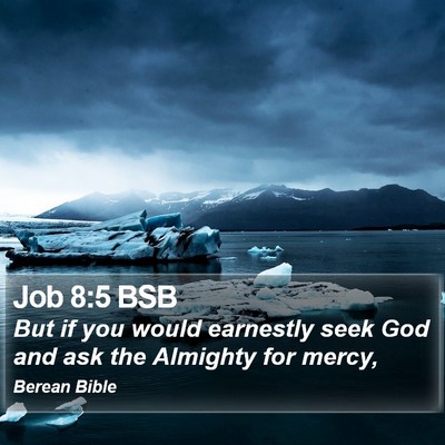 Job 8:5 BSB Bible Verse Image
