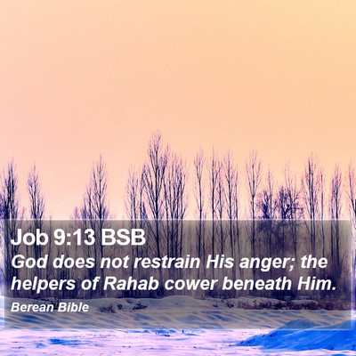 Job 9:13 BSB Bible Verse Image