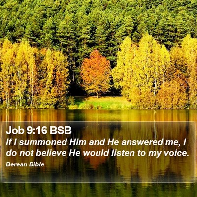 Job 9:16 BSB Bible Verse Image