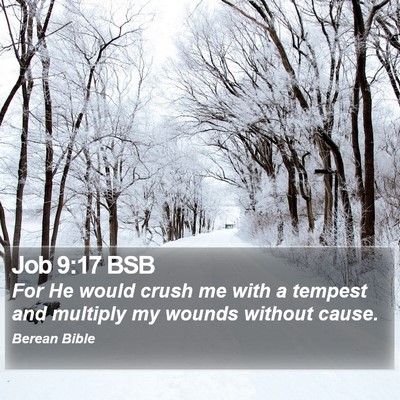 Job 9:17 BSB Bible Verse Image
